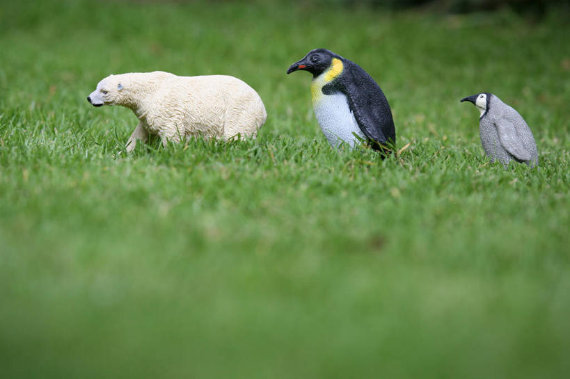 无人,横图,室外,白天,玩具,英国,塑胶,庭院,草,三个,童年,摄影,多样,幽默,想象,跟随,想法,格洛斯特郡,步行,彩图