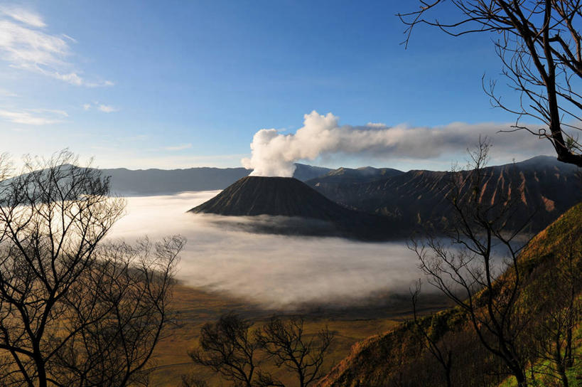 无人,横图,室外,白天,火山,山,雾,印度尼西亚,云,枝,热,风景,天空,自然,摄影,宁静,地质学,爪哇,婆罗摩火山,东爪哇,自然地理,彩图
