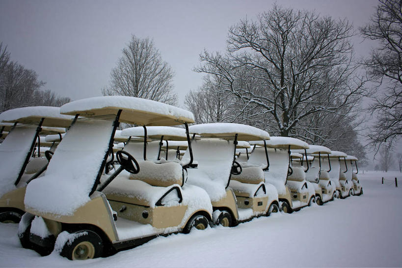 无人,横图,室外,白天,雪,美国,一排,整齐,冬天,树,排列,寒冷,运输,摄影,气象,停止,气候,队列,暂停,停滞,高尔夫球车,彩图