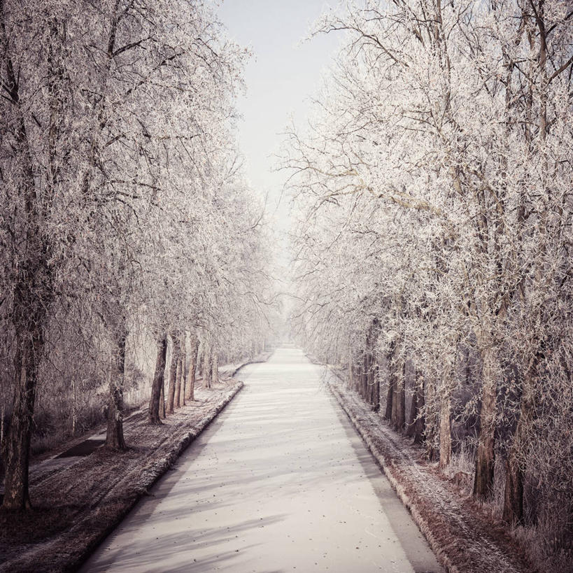 无人,方图,室外,白天,雪,法国,冬天,树,自然,寒冷,摄影,宁静,运河,斯特拉斯堡,彩图