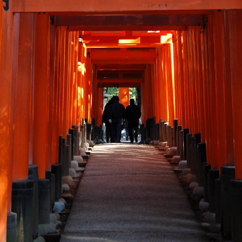 四个人,方图,室内,白天,重复,建筑,京都,日本,亚洲,一排,许多,日本文化,整齐,鸟居,很多,排列,橙色,摄影,宗教,京都府,神殿,宗教建筑,队列,东亚,本州,本州岛,日本国,近畿地方,近畿,伏见稻荷大社,伏见区,彩图
