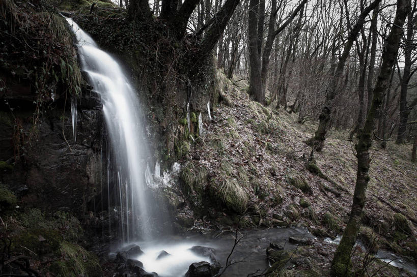 无人,横图,室外,白天,瀑布,森林,英国,冬天,树,自然,摄影,宁静,迅速,威尔士,彩图