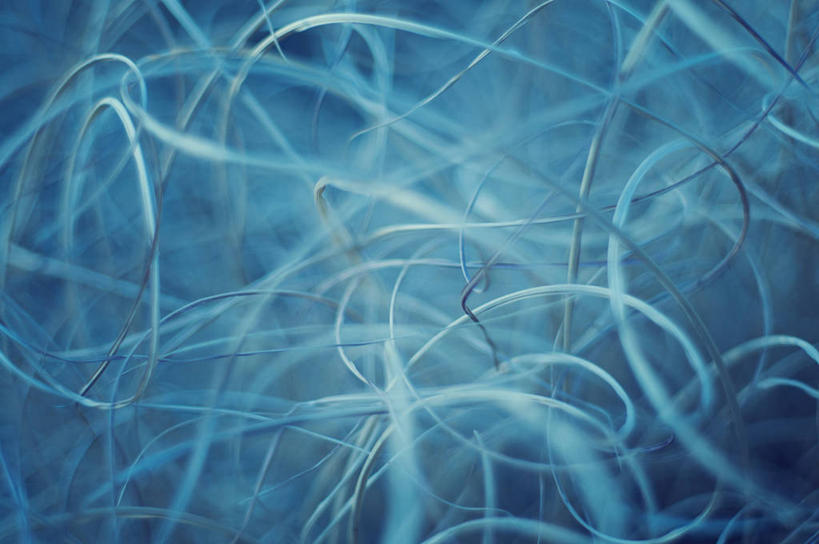 无人,横图,室外,植物,西班牙,首都,蓝色,自然,夏天,马德里,摄影,脆弱,清新,彩图