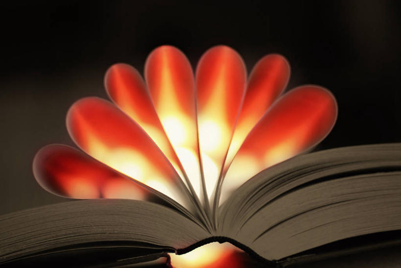 无人,横图,室内,特写,西班牙,发光,首都,折叠,教育,打开,马德里,摄影,开启,想法,书,彩图,书页