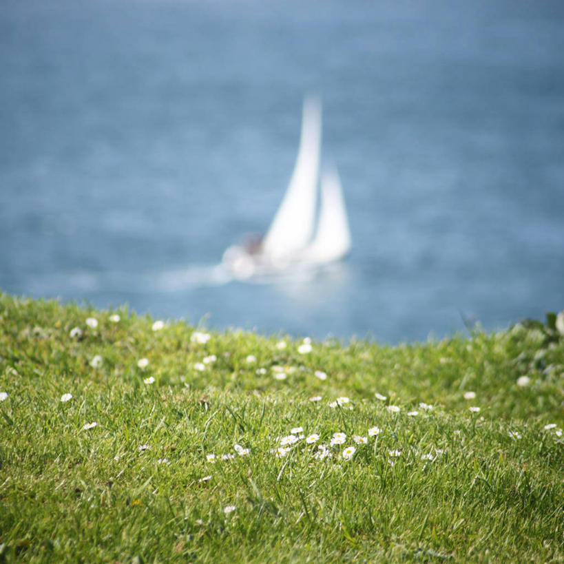 帆船,无人,方图,室外,白天,海洋,船,西班牙,草,花,绿色,自然,交通工具,摄影,生长,清新,载具,阿斯图里亚斯,彩图,希洪