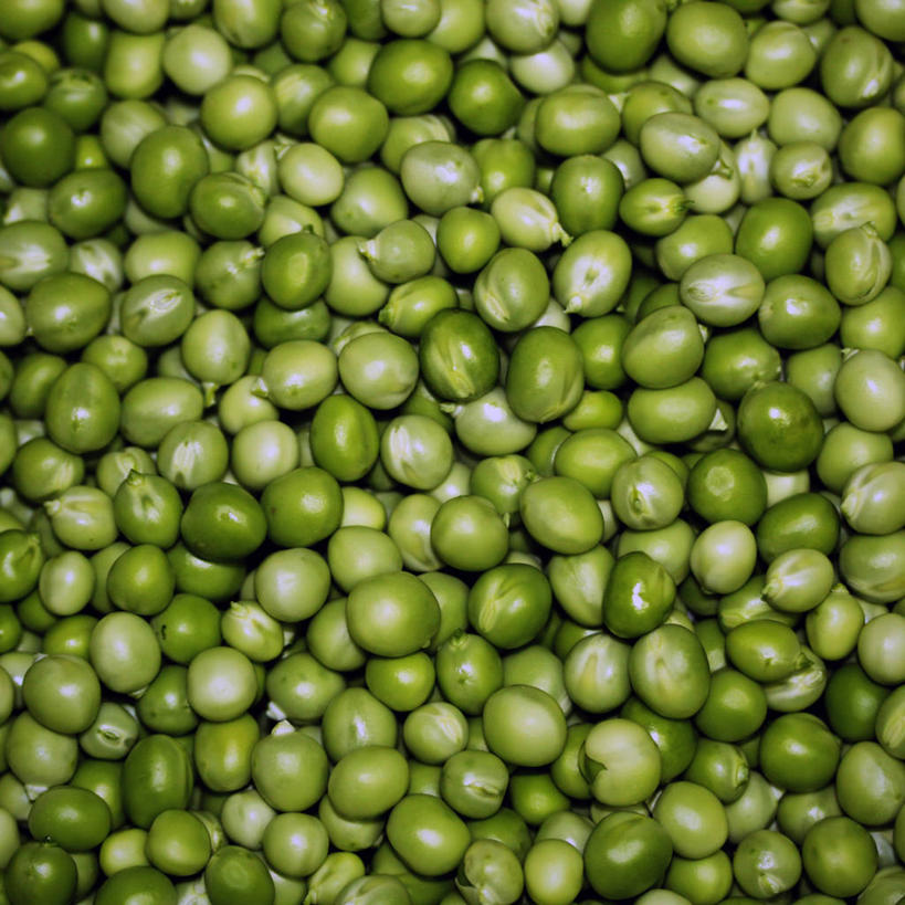 无人,方图,特写,背景,蔬菜,西班牙,许多,丰富,豌豆,很多,饮食,绿色,摄影,清新,健康食物,彩图,全画面,全框架,全帧,全画幅