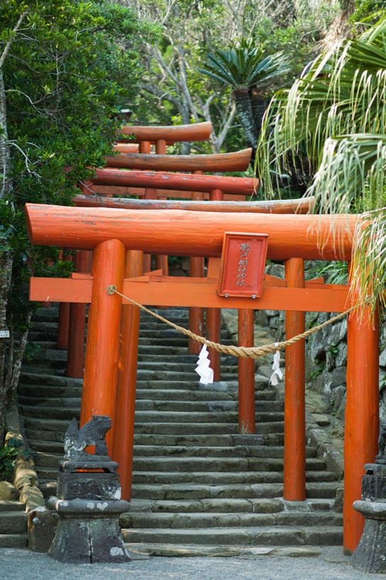 无人,竖图,室外,白天,日本,节日,日本文化,鸟居,文化,树,红色,绳子,祈祷,健康,许愿,摄影,宗教,佛教,信仰,纪念,神道,祈求,神殿,宗教建筑,宫崎县,神道教,平安,彩图