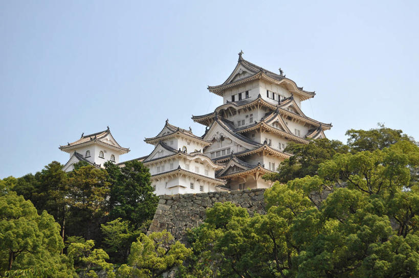 无人,横图,室外,白天,建筑,日本,日本文化,历史,树,地标建筑,摄影,树梢,万里无云,姬路城,兵库县,姬路,彩图