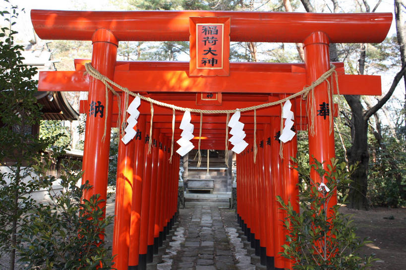 无人,横图,室外,白天,日本,日本文化,日文,鸟居,树,天空,橙色,摄影,宗教,神殿,群马县,彩图