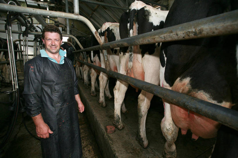 西方人,成年人,中年人,一个人,农民,农场,站,微笑,横图,室内,白天,工作服,制服,满意,幸福,安全,畜牧业,牧场,爱尔兰,欧洲,欧洲人,仅一个男性,仅一个人,仅一个中年男性,防护,家畜,摄影,牲畜,保护,肖像,保险,防护服,畜牧,牧业,保全,周全,安稳,安定,母牛,工作制服,利默里克郡,平安,男人,男性,中年男性,白种人,半身,彩图,工作套服,家牛