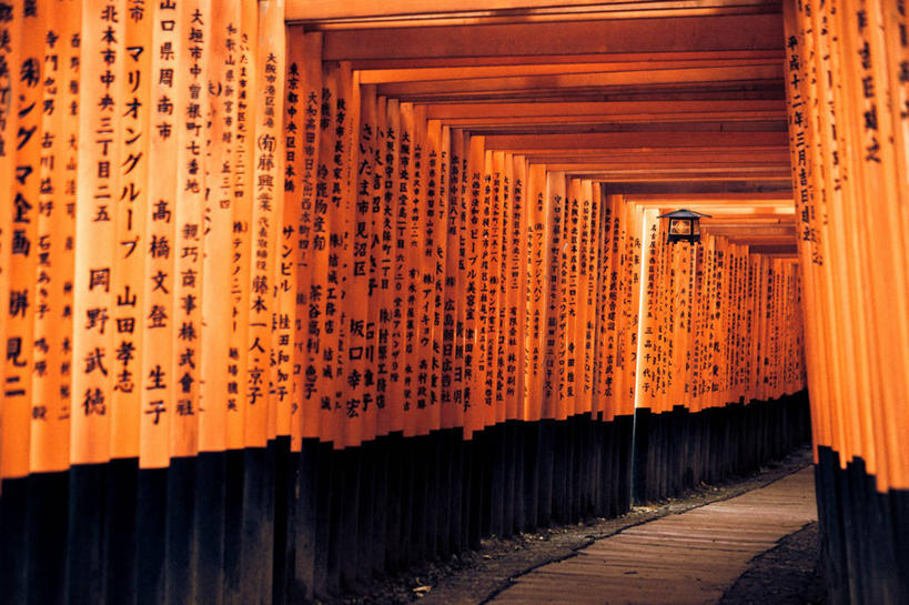 无人,横图,室内,白天,重复,京都,日本,亚洲,一排,日本文化,整齐,标志,文字,字符,字母,鸟居,小路,标识,排列,橙色,摄影,京都府,宁静,神殿,队列,东亚,本州,本州岛,日本国,近畿地方,近畿,伏见稻荷大社,伏见区,彩图
