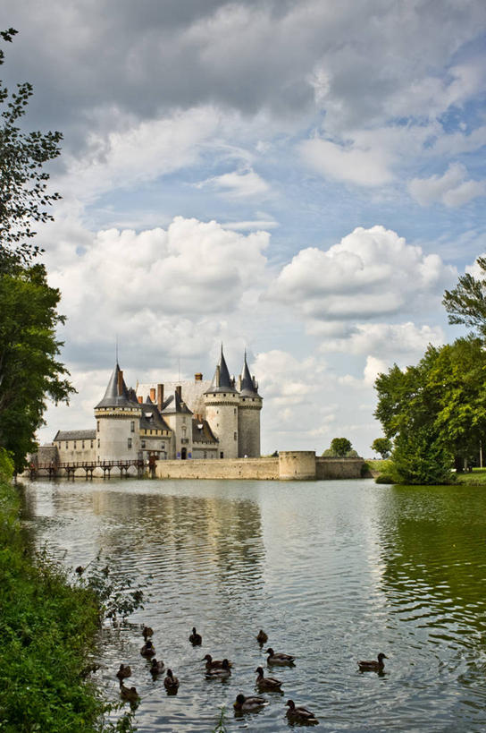 游泳,无人,竖图,室外,白天,湖,建筑,野生动物,法国,一群,许多,鸟类,鸭子,云,很多,历史,草,树,天空,自然,摄影,卢瓦雷省,彩图