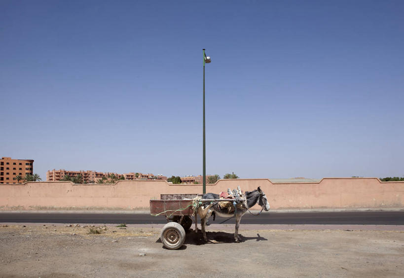 无人,站,横图,室外,白天,路,路灯,非洲,摩洛哥,推车,马车,家畜,运输,摄影,骡子,万里无云,阿非利加洲,摩洛哥王国,马拉喀什,彩图