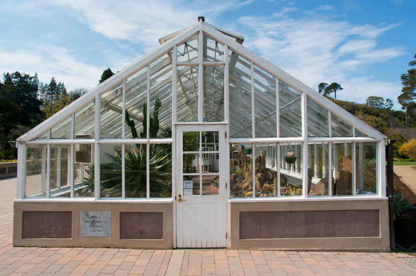 无人,植物园,横图,室外,白天,新西兰,温室,摄影,达尼丁,彩图