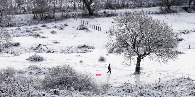 一个人,横图,黑白,室外,白天,雪,西班牙,冬天,草,树,自然,寒冷,摄影,纳瓦拉,步行,独处