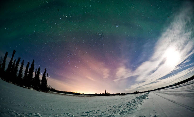 无人,横图,室外,夜晚,鱼眼镜头,神秘,极光,美景,雪,松树,加拿大,景观,云,星星,冬天,风景,自然,景色,寒冷,摄影,宁静,照亮,自然风光,耶洛奈夫,北极光,彩图