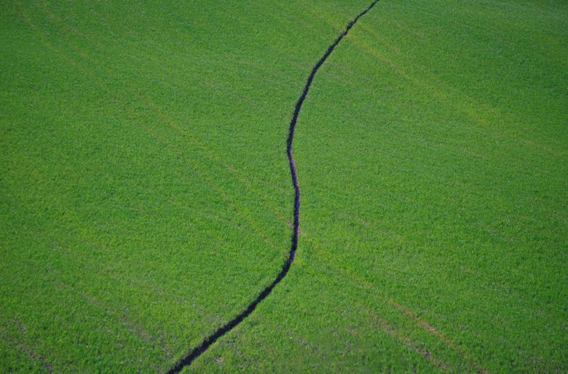 无人,横图,俯视,室外,白天,意大利,弯曲,分离,田地,绿色,自然,摄影,生长,彩图,高角度拍摄