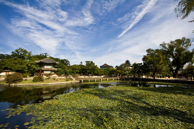 无人,宫殿,横图,室外,白天,湖,美景,植物,景福宫,首尔,韩国,阴影,景观,云,首都,历史,草,树,自然,景色,摄影,宁静,自然风光,彩图