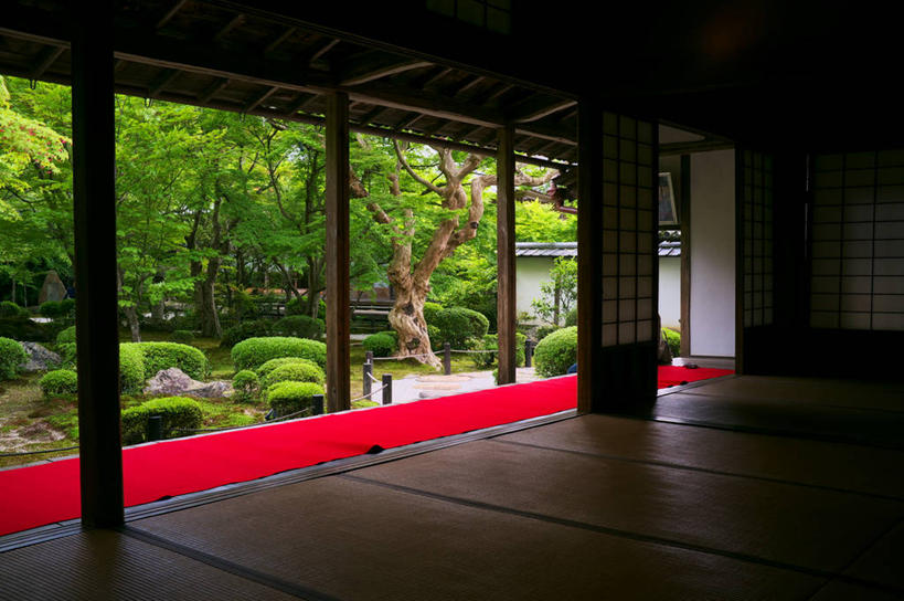 无人,横图,室内,白天,日本,日本文化,庭院,树,摄影,宗教,京都府,宁静,京都市,彩图,传统文化