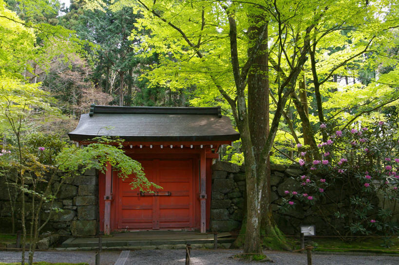 无人,横图,室外,白天,建筑,京都,日本,亚洲,日本文化,屋顶,石墙,树,摄影,宗教,佛教,京都府,园林,东亚,本州,本州岛,日本国,近畿地方,近畿,京都市,三千院,左京区,彩图