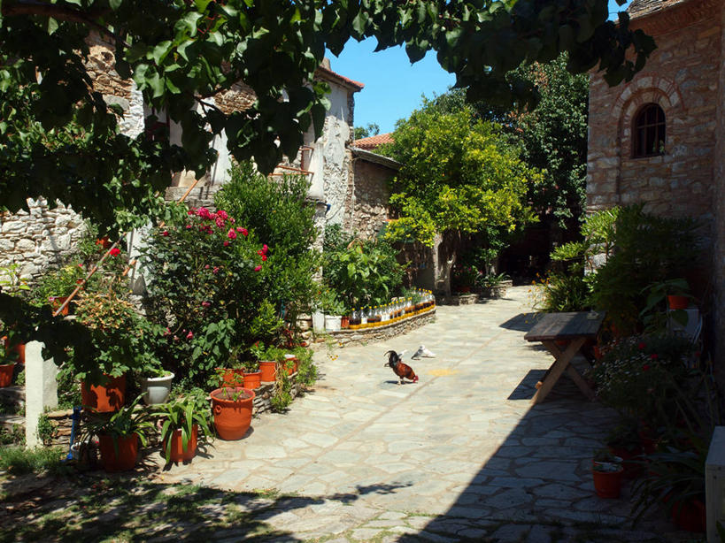 无人,横图,室外,白天,植物,建筑,日光,希腊,三只,鸟类,庭院,历史,家畜,摄影,宗教,修道院,斯基亚索斯岛,母鸡,彩图,传统文化