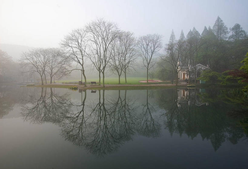 无人,横图,室外,湖,雾,对称,反射,黎明,树,天空,自然,春天,摄影,杭州,宁静,早晨,彩图