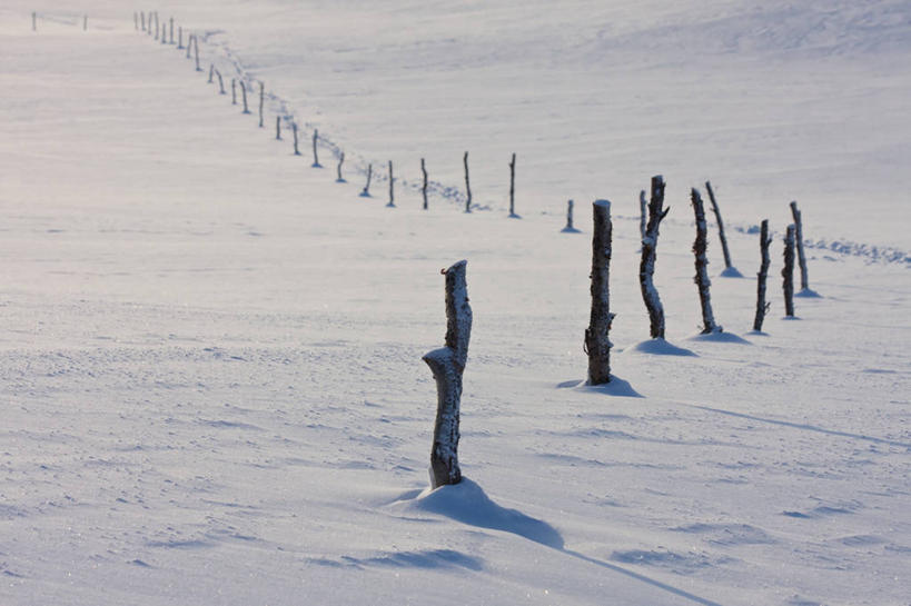 无人,横图,室外,白天,雪,挪威,木制,篱笆,冬天,木桩,寒冷,摄影,宁静,彩图