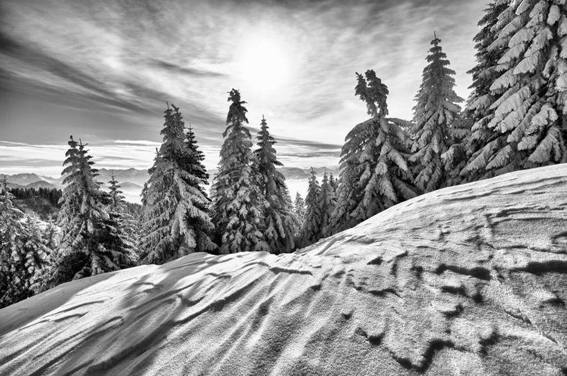 无人,横图,黑白,室外,白天,旅游,度假,美景,森林,雪,松树,奥地利,地形,景观,冬天,娱乐,自然,享受,休闲,景色,放松,寒冷,摄影,宁静,自然风光,雪堆,福拉尔贝格州