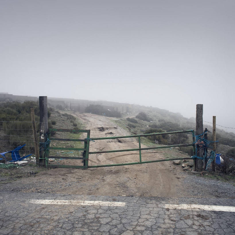 无人,方图,室外,白天,雾,西班牙,天气,草,树,自然,木桩,摄影,保护,宁静,万里无云,阿维拉,彩图