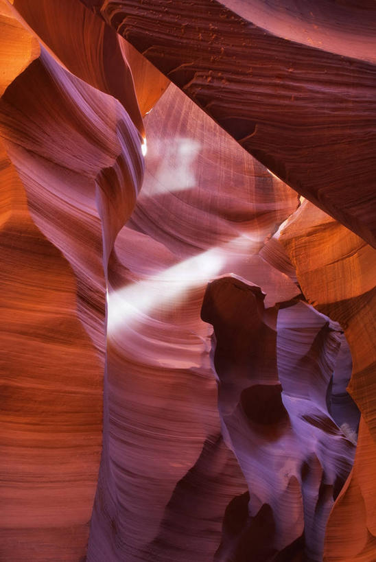 无人,竖图,白天,仰视,美景,峡谷,美国,景观,风景,自然,景色,摄影,亚利桑那,北美,北美洲,岩层,自然风光,美洲,亚利桑那州,大峡谷之州,北亚美利加洲,亚美利加洲,地质学,羚羊峡谷,沙岩,上羚羊峡谷,自然地理,岩石,彩图,低角度拍摄,美利坚合众国