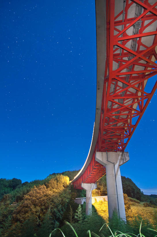 无人,竖图,室外,夜晚,仰视,植物,建筑,日本,星星,桥,联系,树,红色,自然,摄影,万里无云,冈山县,彩图,低角度拍摄
