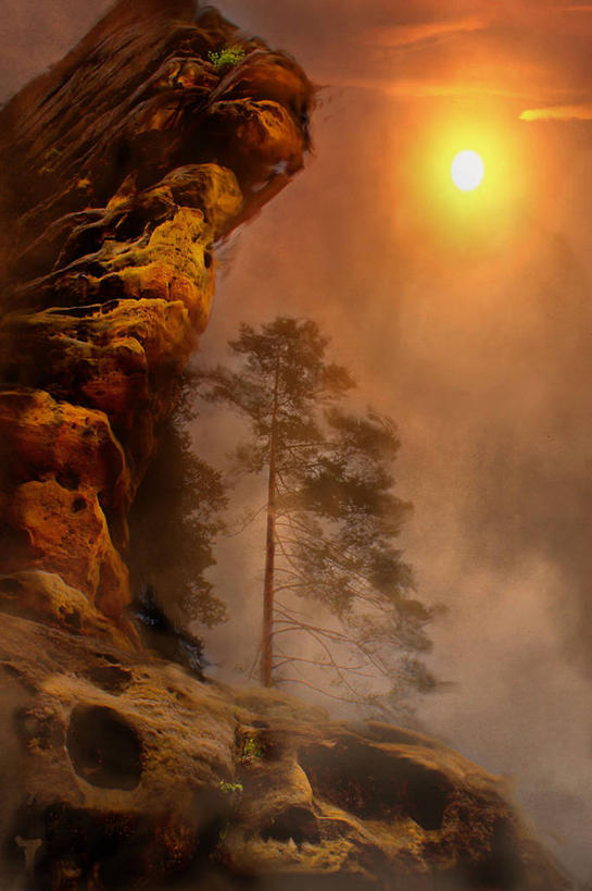 无人,竖图,室外,美景,日落,太阳,雾,德国,景观,天气,树,自然,景色,摄影,宁静,自然风光,德累斯顿,岩石,彩图