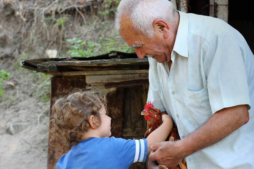 西方人,儿童,成年人,老年人,脸,头,脸颊,头发,两个人,祖父,横图,室外,白天,纯洁,欧洲,保加利亚,欧洲人,鸟类,拿着,休闲装,刺激,肩膀,小孩,金色,家畜,可爱,童年,童趣,摄影,牲畜,童真,烂漫,无邪,瓦尔纳,天真,老年男性,男孩,男人,男性,白种人,孩子,头部,脸部,脸蛋,面部,孙子,母鸡,彩图