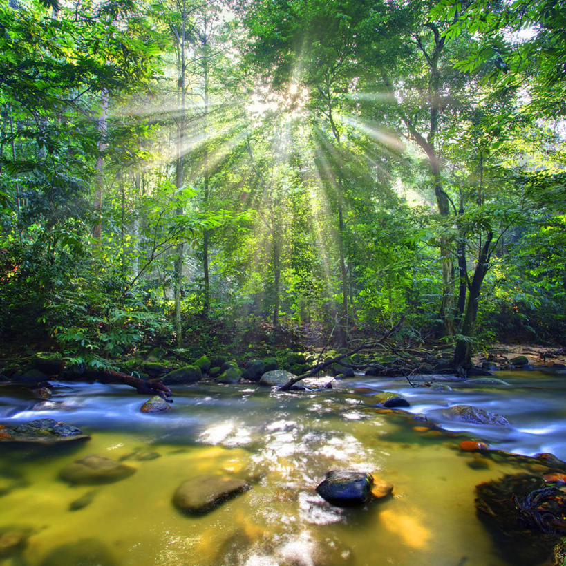无人,方图,室外,白天,长时间曝光,美景,水,植物,马来西亚,反射,景观,流水,云,苔藓,树,绿色,自然,景色,摄影,宁静,自然风光,州立公园,雪兰莪州,岩石,彩图