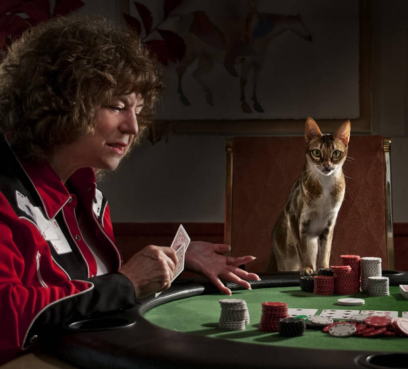 成年人,老年人,脸,头,脸颊,一个人,坐,横图,室内,游戏,赌博,贪欲,运气,竞争,桌子,宠物,猫,玩具,椅子,美国,仅一个女性,仅一个人,玩,拿着,休闲装,娱乐,刺激,肩膀,休闲,家畜,筹码,摄影,仅一个老年女性,活动,计数,发泄,消遣,智力,加利福尼亚,赌具,肖像,积累,累积,投机,侥幸,欲望,宣泄,筹马,记数,贝弗利山,老年女性,女人,女性,头部,脸部,脸蛋,面部,玩耍,嬉戏,彩图,胜负,输赢