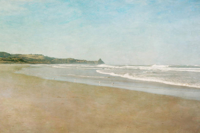 无人,横图,室外,白天,海洋,海鸥,新西兰,纹路,鸟类,沙子,纹理,云,天空,自然,波浪,摄影,宁静,肌理,达尼丁,海滩,彩图