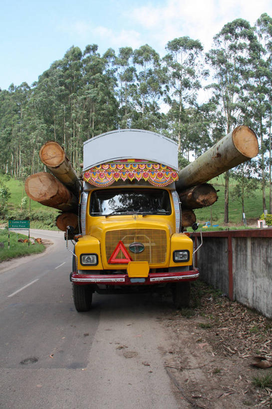 无人,竖图,室外,白天,卡车,路,印度,木材,云,树,树干,天空,运输,摄影,停止,圆木,暂停,停滞,环境保护,彩图