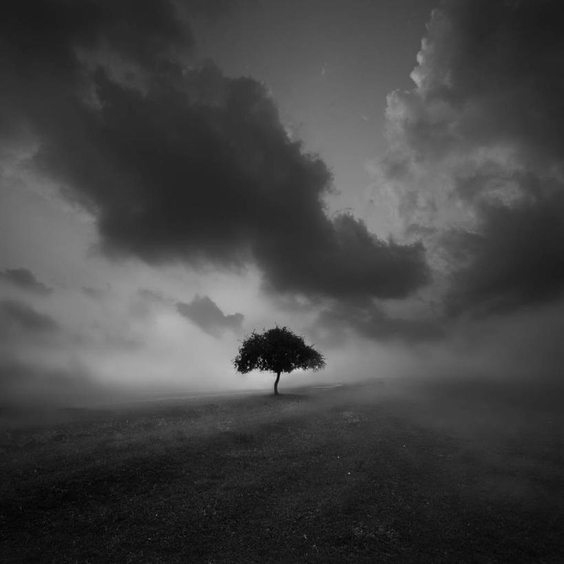 无人,方图,黑白,室外,夜晚,地形,云,天空,自然,摄影,怪异,剪影,惊骇,独处