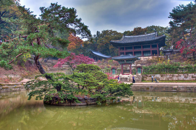 花园,宫殿,横图,室外,白天,花圃,建筑,首尔,韩国,反射,池塘,首都,树,自然,摄影,园林,宁静,改变,秋天,小花园,彩图