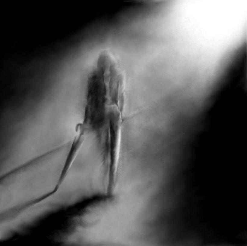 成年人,一个人,横图,黑白,插画,室外,白天,数码,科技,日光,马来西亚,仅一个女性,阴影,网络,伞,高光,几何,计算机图形,合成,图画,画,电脑合成图,数码合成图,合成图,柔焦,漫画,写实,具体,具象,步行,独处,柔佛