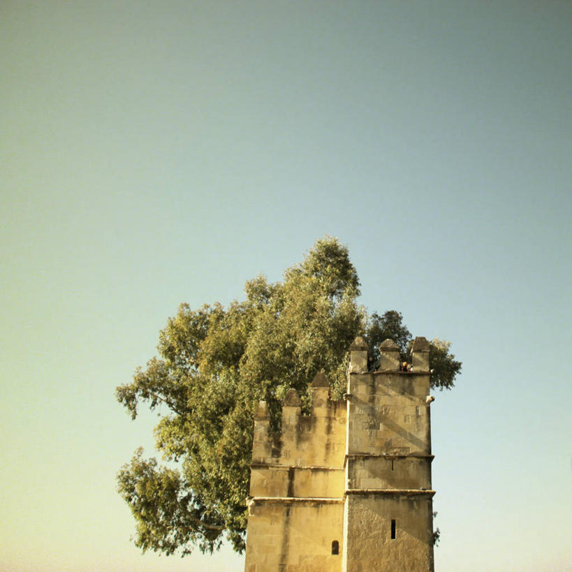 无人,方图,室外,白天,建筑,西班牙,云,树,自然,摄影,万里无云,科尔多瓦,彩图