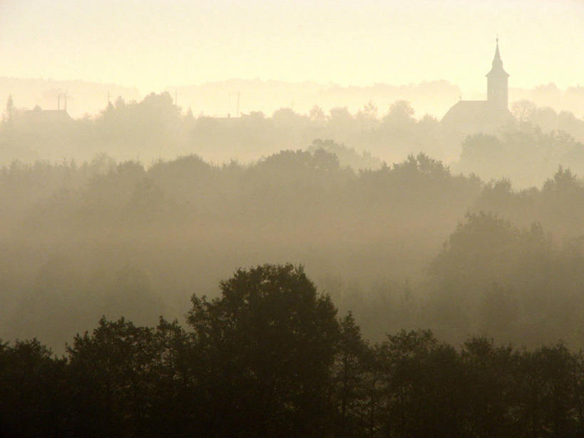 无人,横图,室外,雾,乡村,黎明,天气,树,自然,摄影,早晨,树梢,匈牙利共和国,彩图