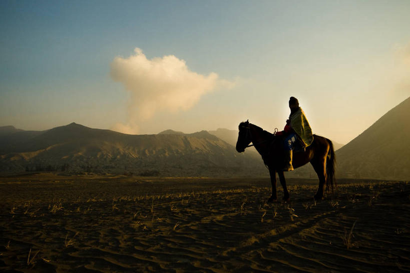 成年人,一个人,横图,室外,度假,马,印度尼西亚,仅一个男性,骑马,沙子,火山口,云,天空,自然,黄昏,摄影,剪影,爪哇,婆罗摩火山,东爪哇,彩图