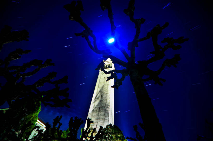 无人,横图,室外,夜晚,长时间曝光,仰视,美国,满月,钟楼,树,天空,自然,摄影,宁静,加利福尼亚,伯克利,彩图,低角度拍摄