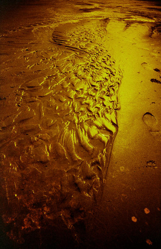 无人,竖图,室外,美景,英国,湿,脚印,沙子,景观,自然,黄昏,景色,摄影,宁静,自然风光,潮汐,海滩,彩图