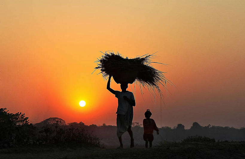 儿童,成年人,两个人,横图,室外,农业,日落,太阳,日光,孟加拉国,亚洲,地形,田地,干草,天空,自然,童年,头顶,摄影,宁静,南亚,剪影,孟加拉人民共和国,男人,女孩,步行,彩图