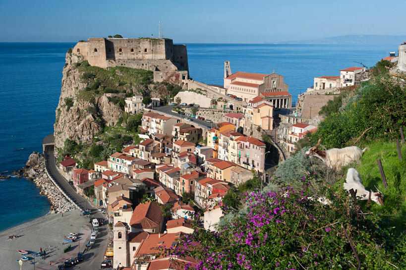 无人,横图,室外,白天,海洋,建筑,汽车,意大利,房屋,屋顶,水平线,城镇,树,天空,动物,两只,摄影,卡拉布里亚,山羊,彩图