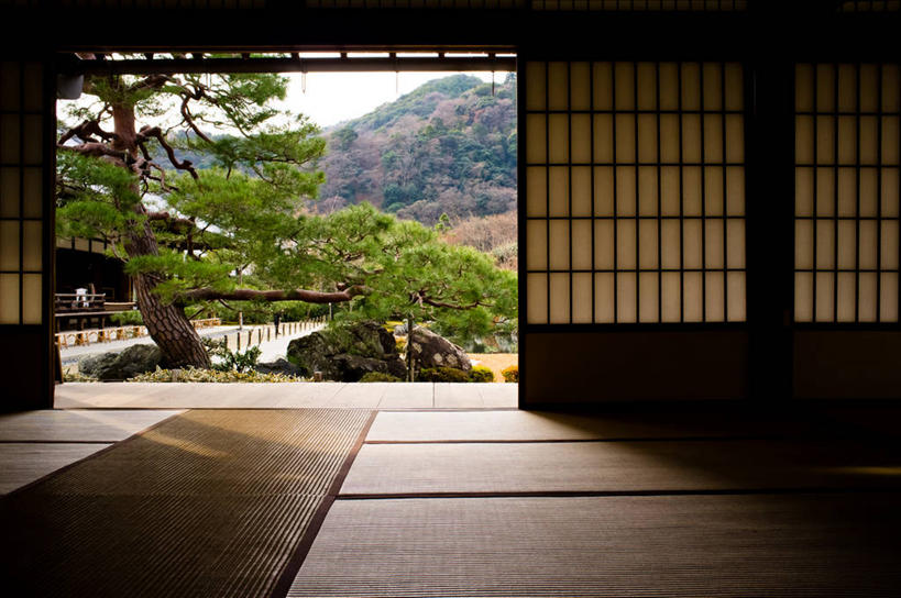 无人,寺庙,横图,室内,白天,日光,日本,日本文化,树,摄影,宗教,京都府,宗教建筑,京都市,彩图