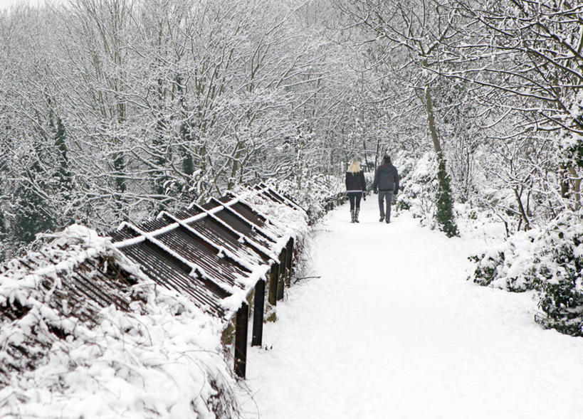 成年人,两个人,横图,室外,白天,雪,英国,冬天,首都,背面,寒冷,摄影,异性恋,男人,女人,步行,彩图
