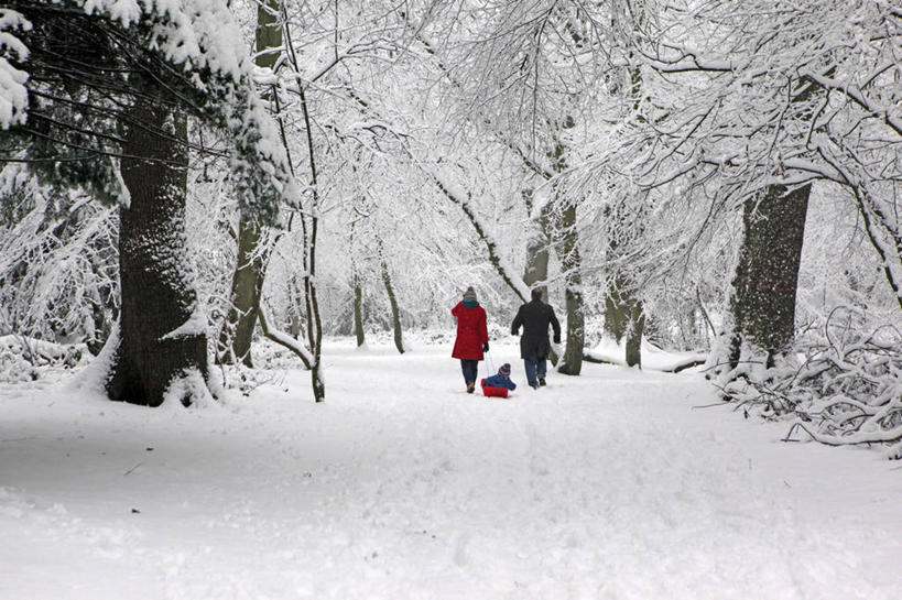 儿童,成年人,三个人,家庭,母亲,父亲,公园,横图,室外,白天,度假,运动,雪,英国,冬天,首都,树,树干,背面,温暖,温馨,一家人,乐趣,摄影,雪橇,和睦,享乐,男人,女人,彩图,融洽
